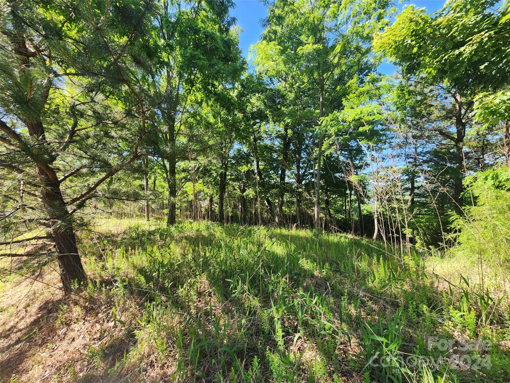 Homestead at Mills River - Land