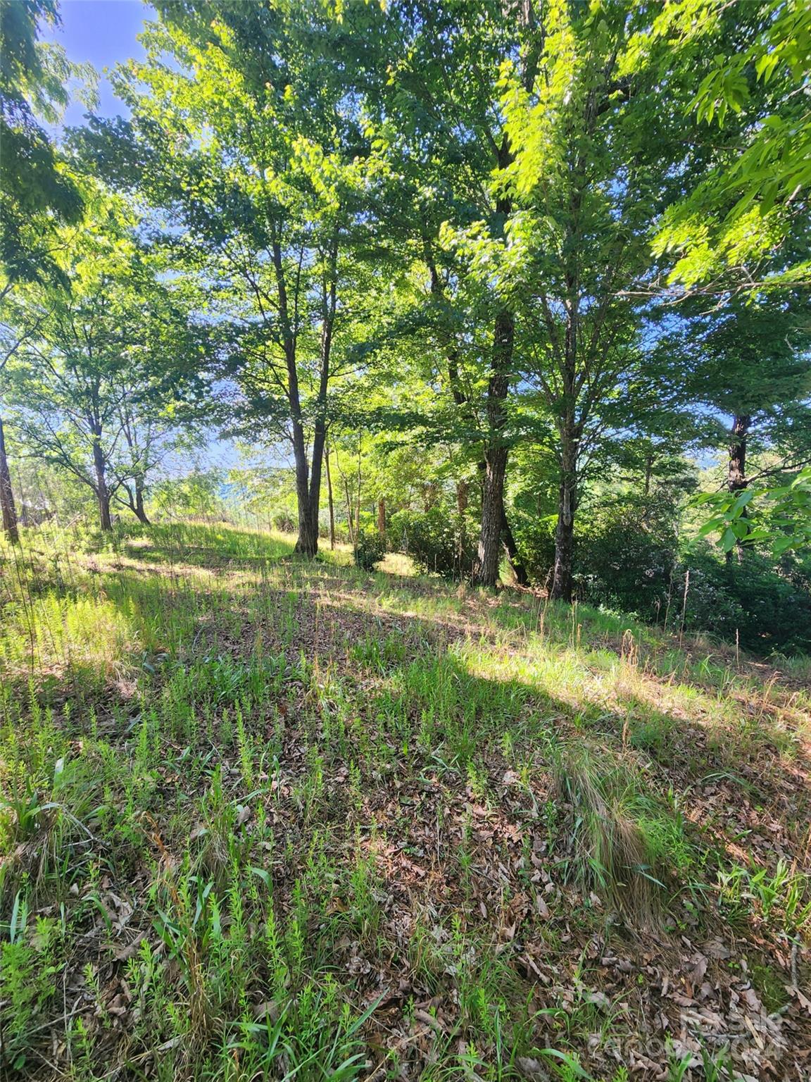 Homestead at Mills River - Land