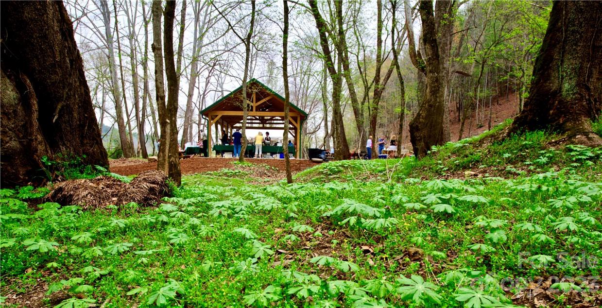 The Coves Mountain River Club - Land