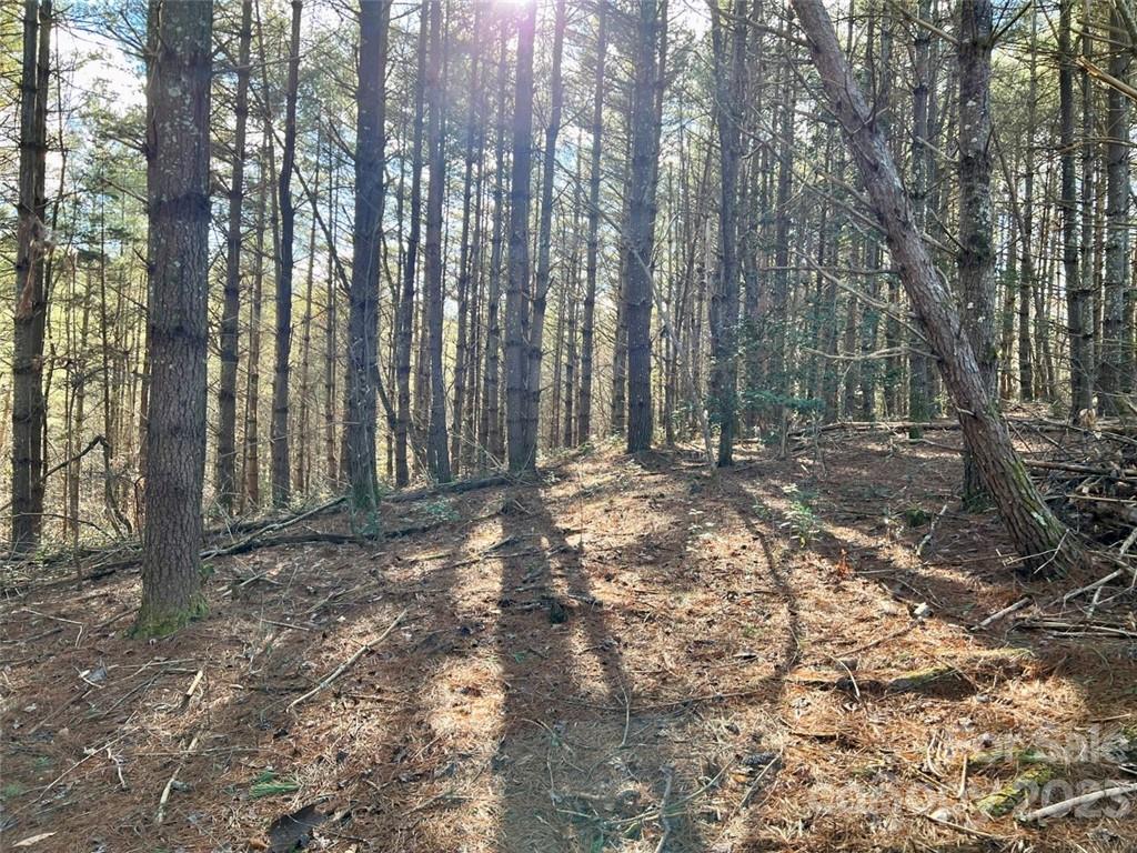 2.29 acres Lot 94 Crescent Ridge Drive 94