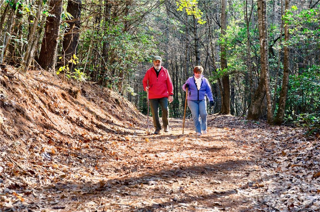 The Coves Mountain River Club - Land