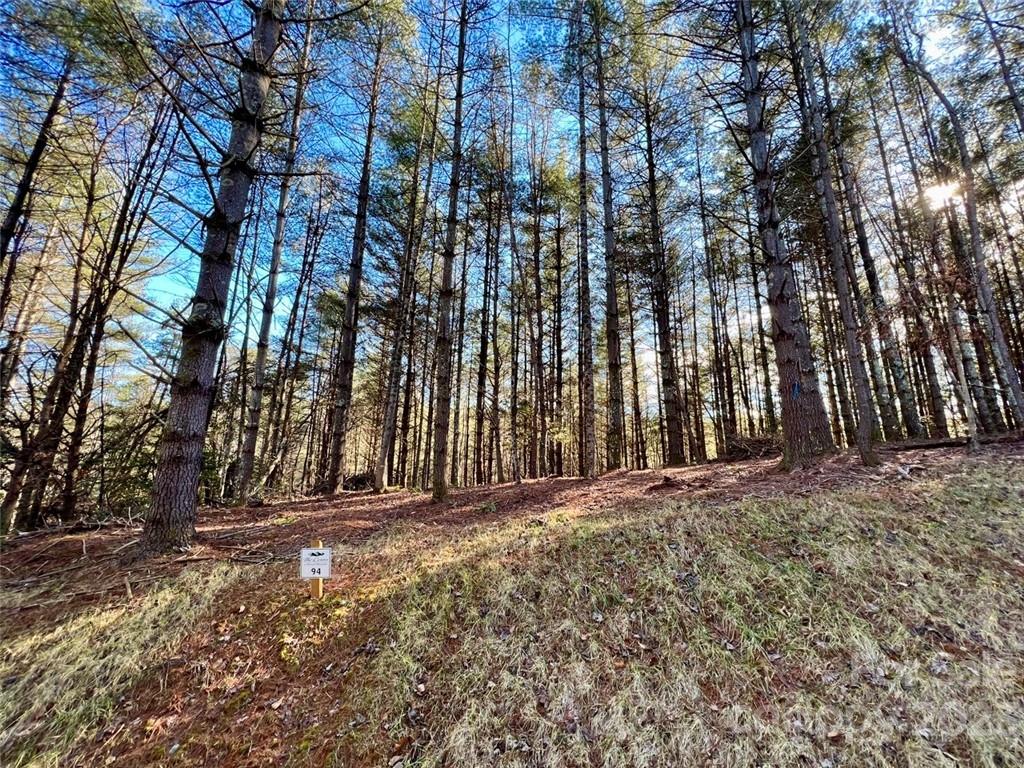 2.29 acres Lot 94 Crescent Ridge Drive 94