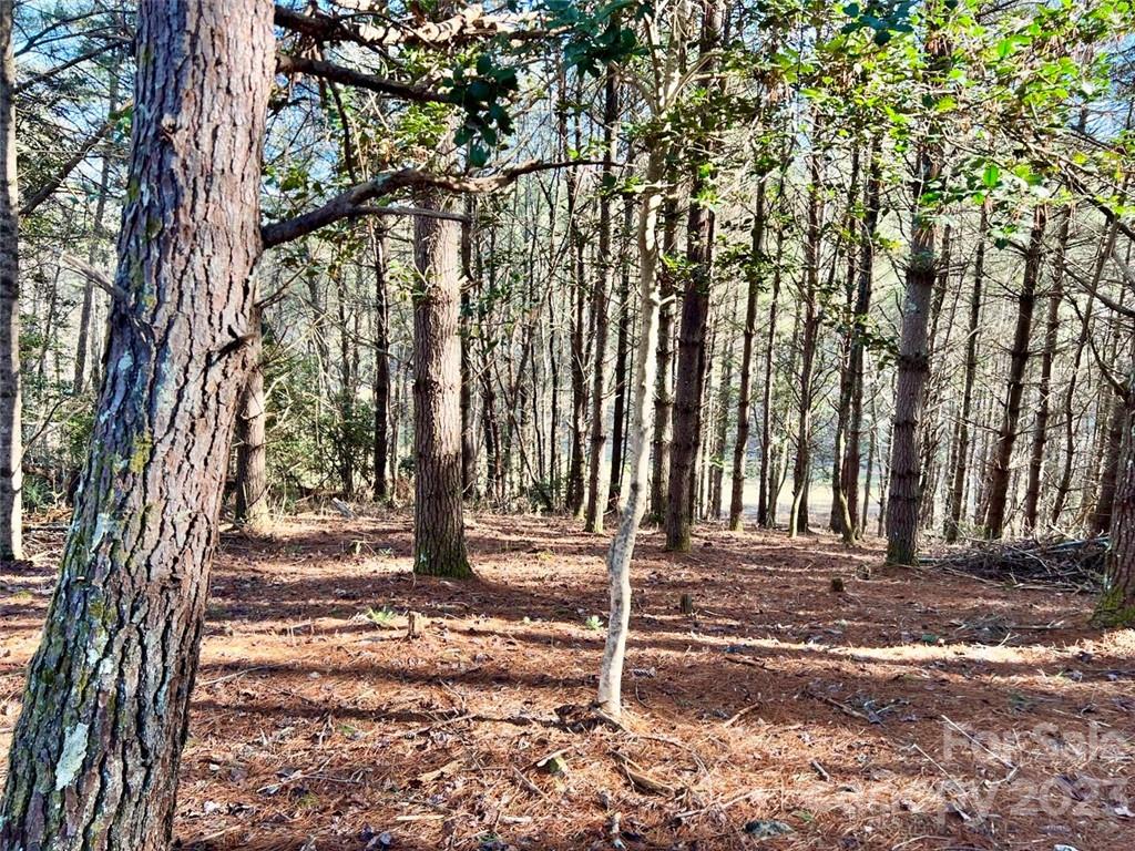 2.29 acres Lot 94 Crescent Ridge Drive 94