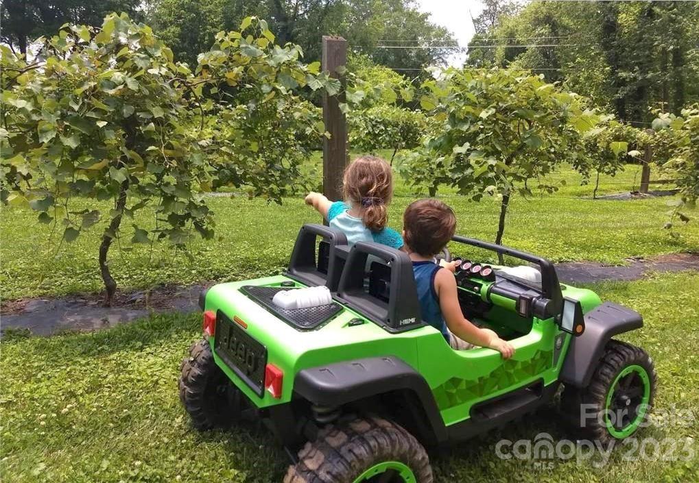 The Coves Mountain River Club - Land