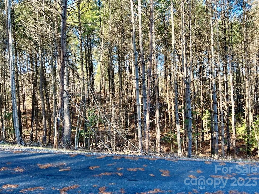 The Coves Mountain River Club - Land