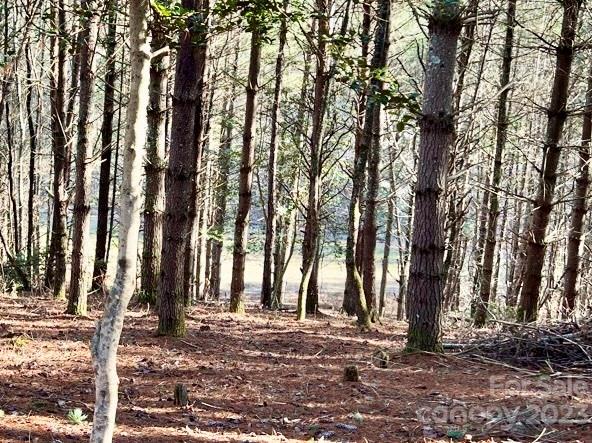 The Coves Mountain River Club - Land