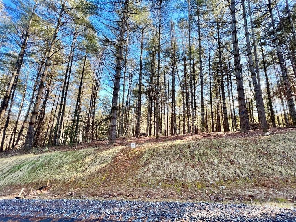 2.29 acres Lot 94 Crescent Ridge Drive 94