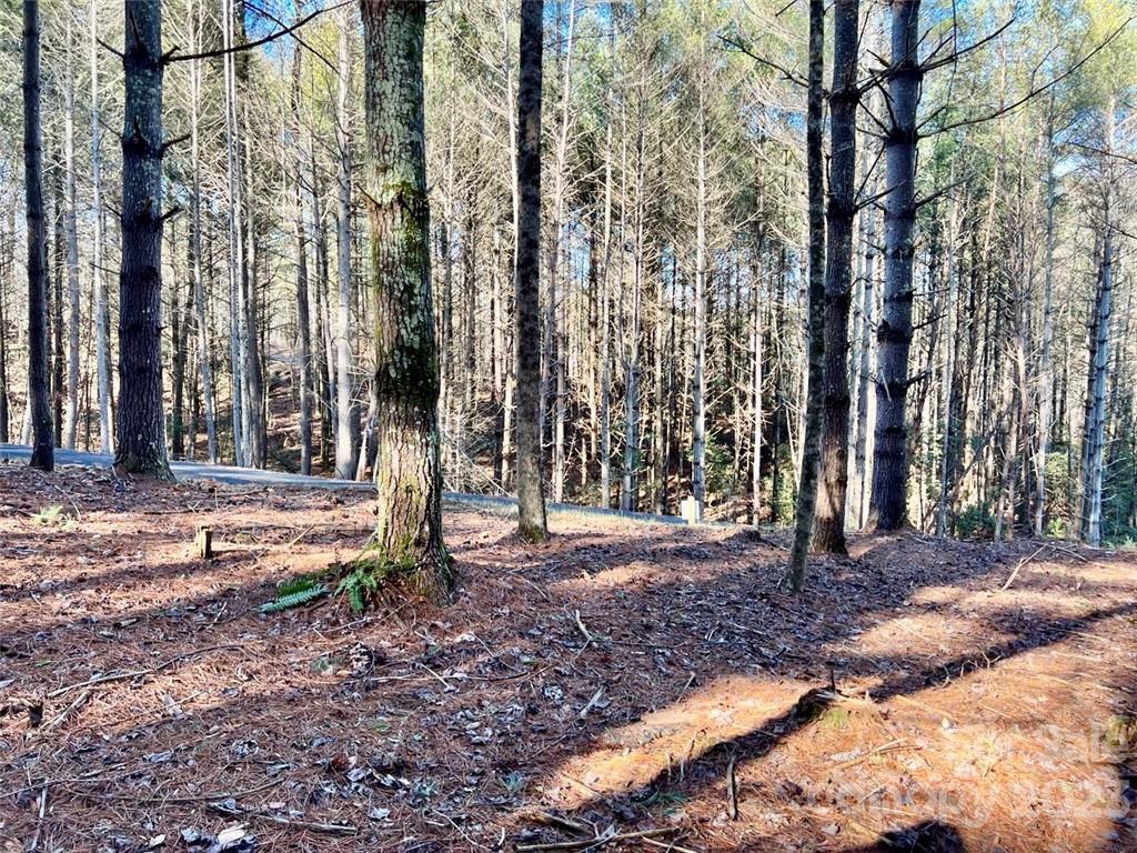 The Coves Mountain River Club - Land