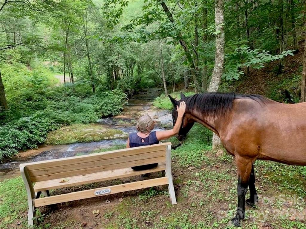 The Coves Mountain River Club - Land