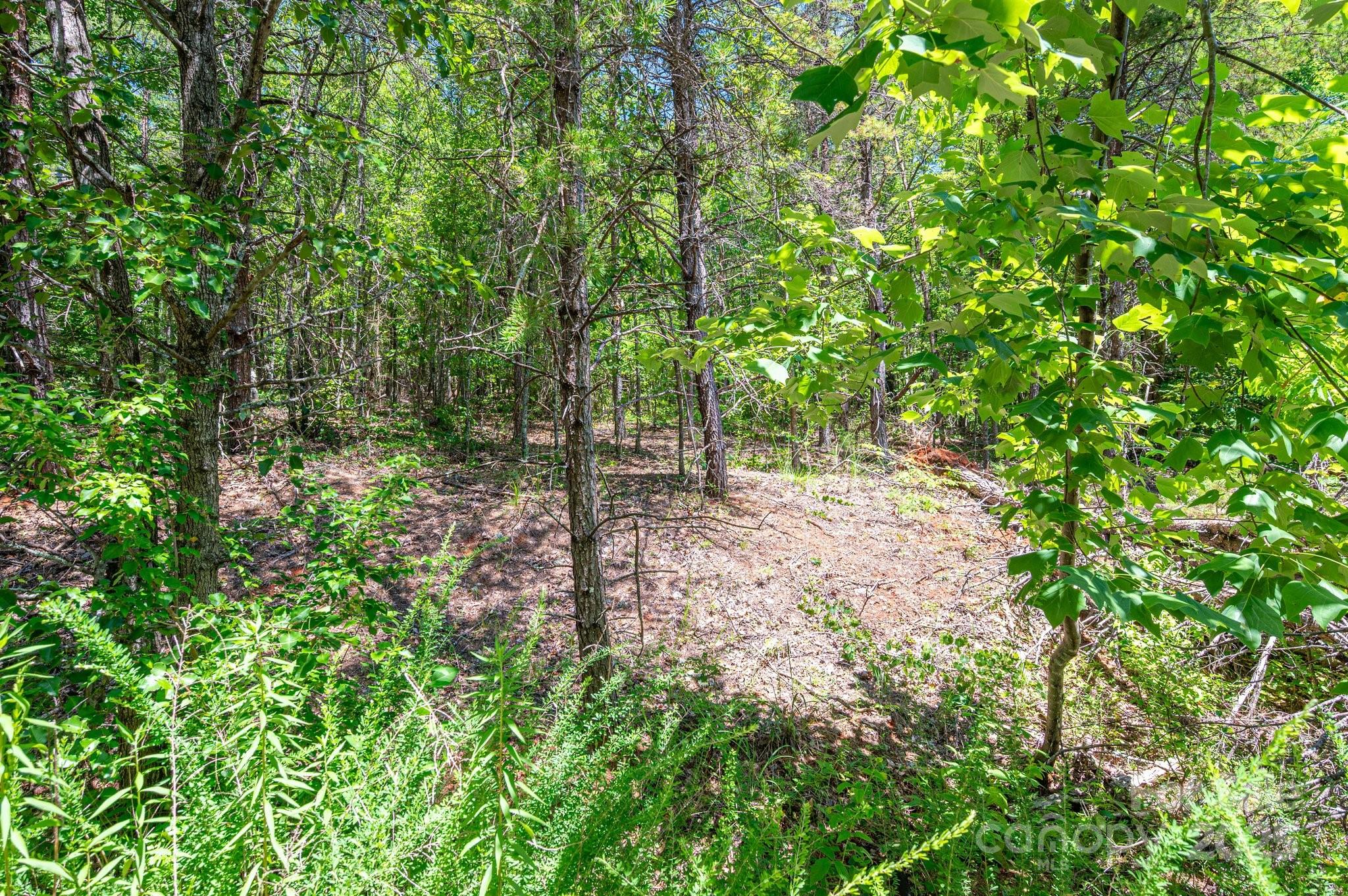 Westbrook Acres - Land