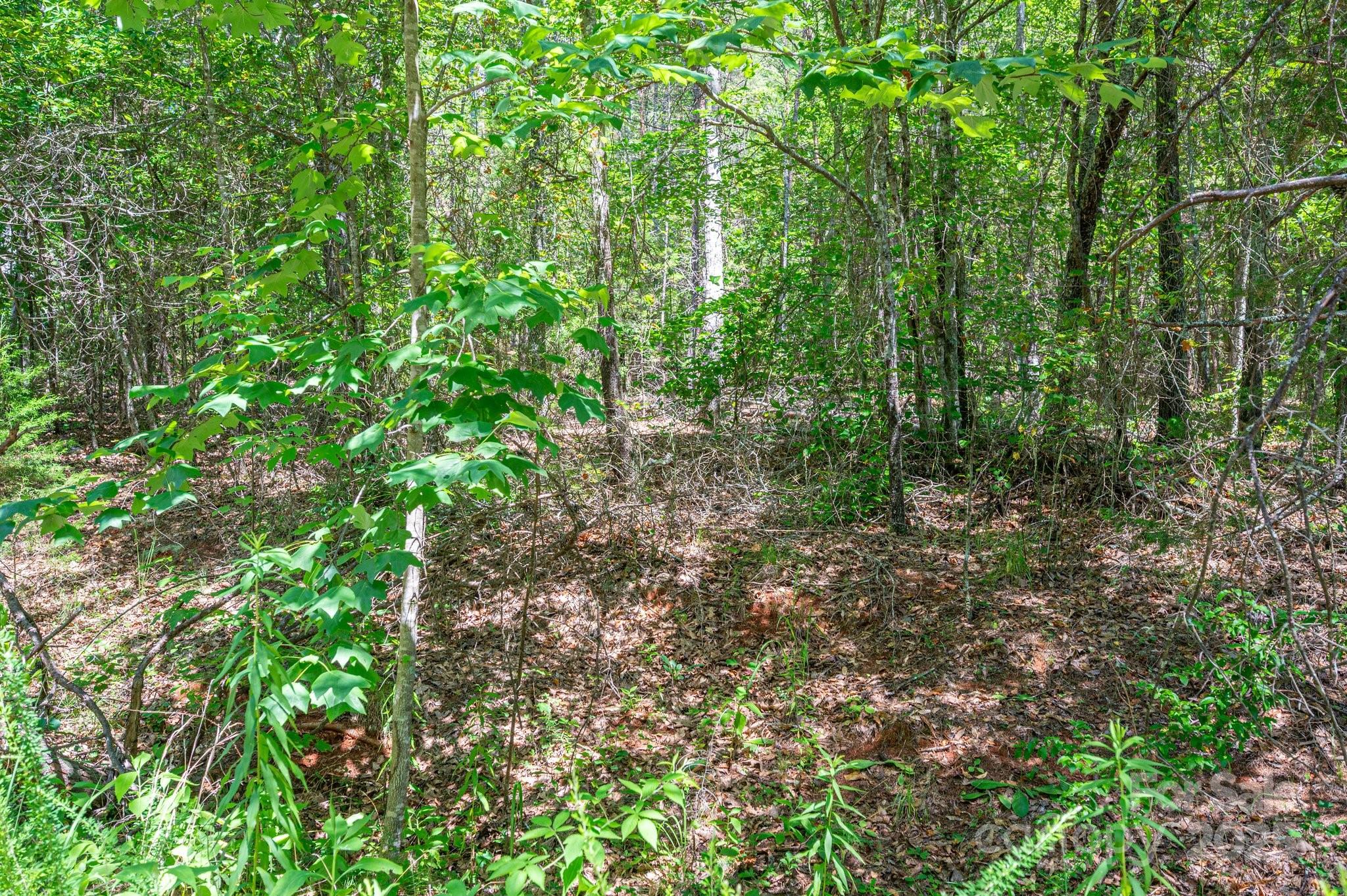 Westbrook Acres - Land