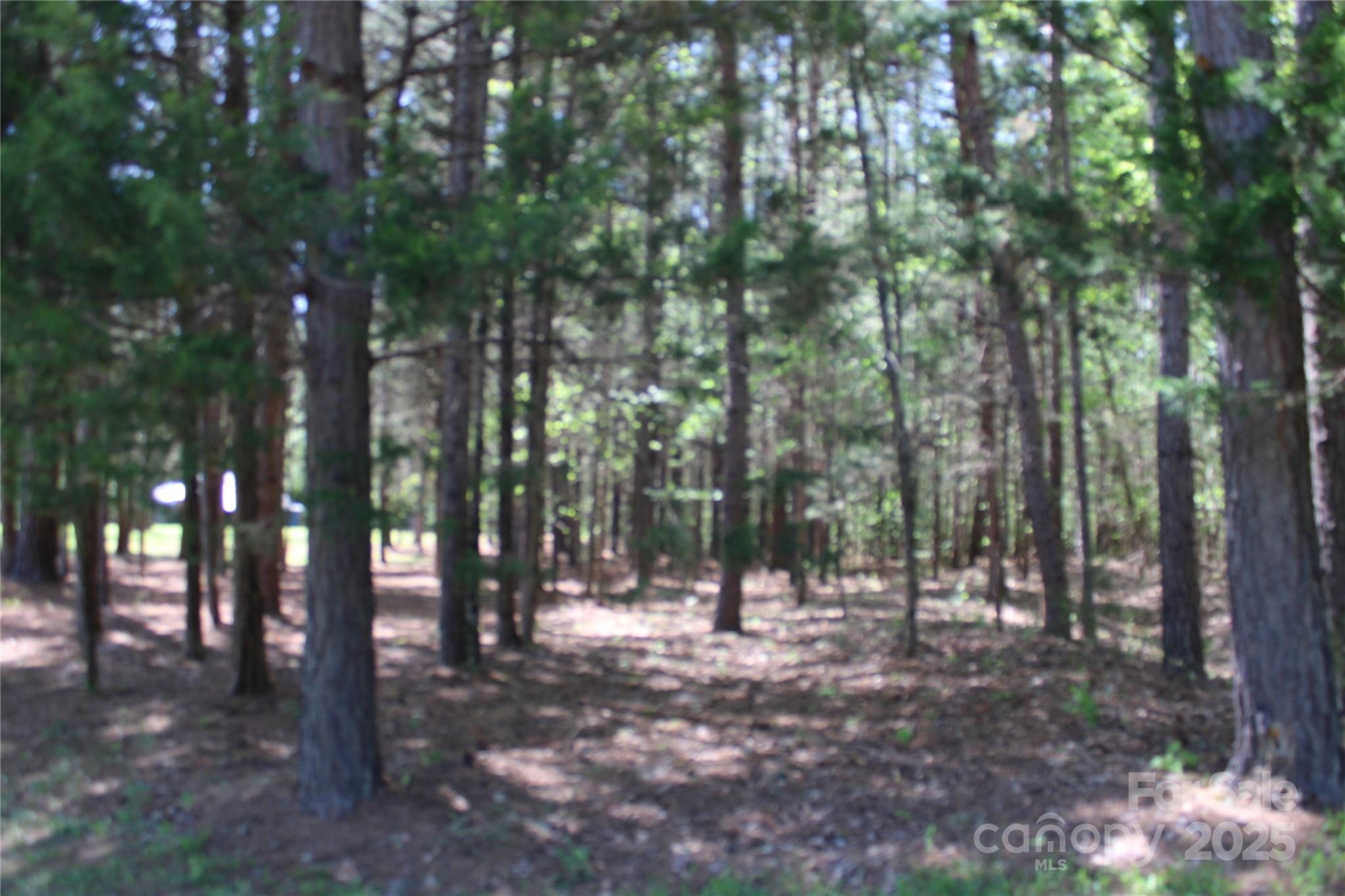 5264 Battleground Road