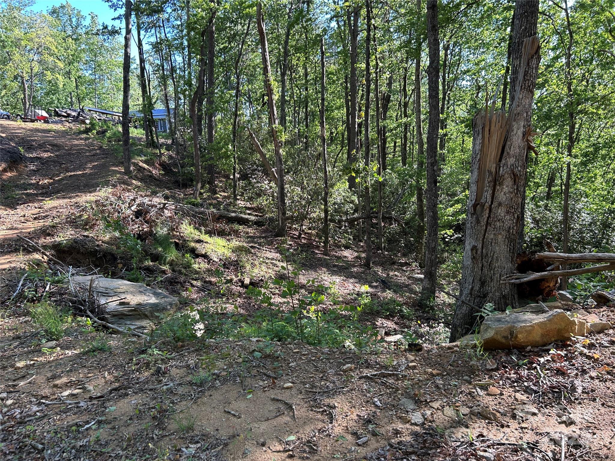 000 Jacks Paw Lane 8