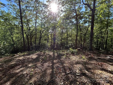 000 Jacks Paw Lane 8 Hendersonville NC 28792