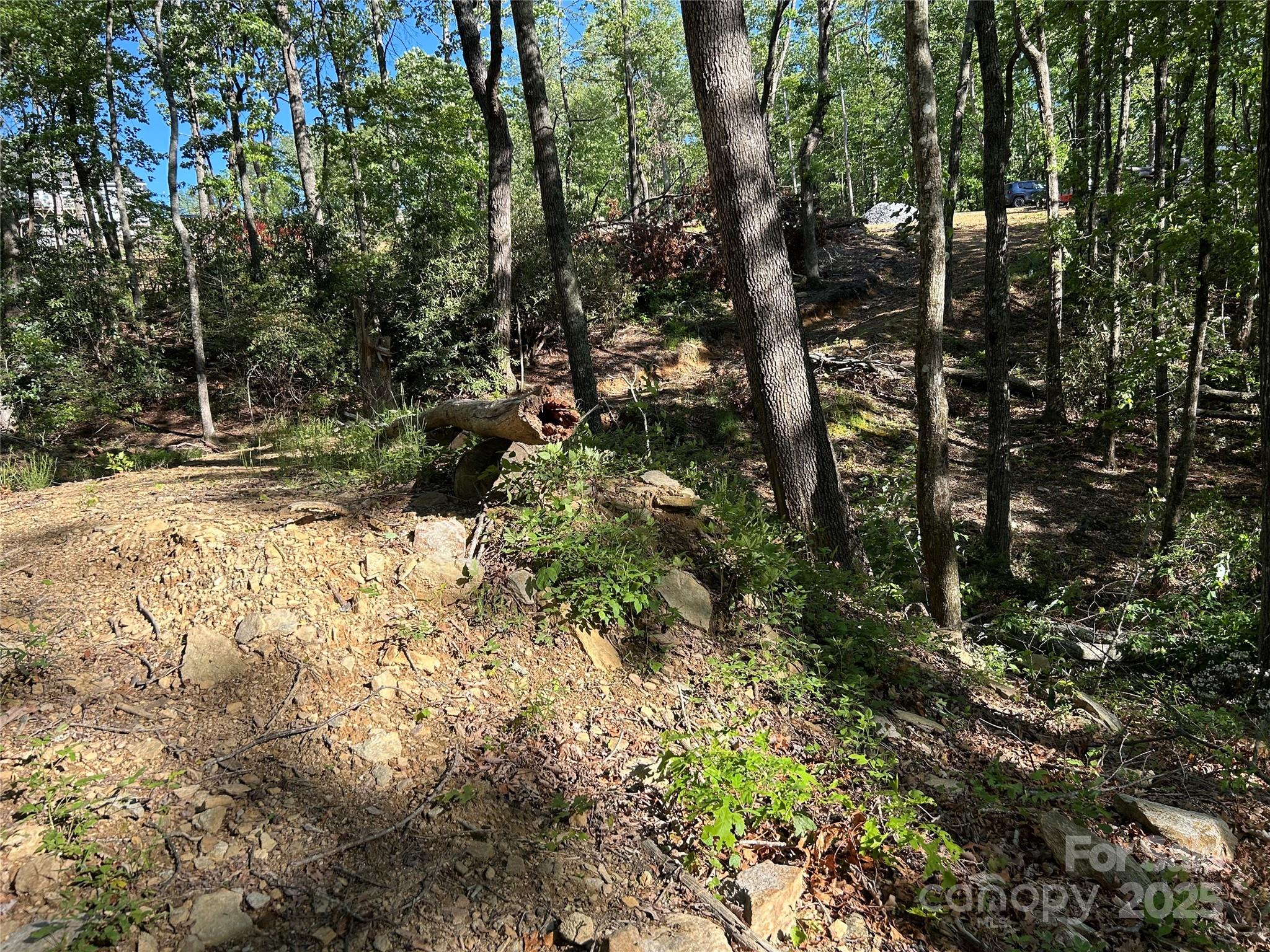 000 Jacks Paw Lane 8
