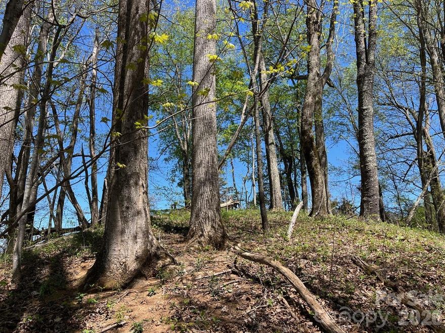 Discover the perfect blend of privacy, natural beauty, and convenience with this stunning 12.3-acre mountain property. Nestled in wooded setting, this expansive parcel offers the exciting potential for mountain views with selective clearing—create your dream vantage point and enjoy the scenery year-round. Potential for spring water on the property. Whether you're looking to build, invest, or simply escape the noise, this land offers endless possibilities. Ideally located just a short drive from shopping, dining, and essential services, you’ll enjoy both seclusion and accessibility. Outdoor enthusiasts will love being close to the Great Smoky Mountains National Park, where hiking, wildlife, and adventure await. Don’t miss this rare opportunity to own a slice of mountain paradise with convenience, natural features, and incredible potential.