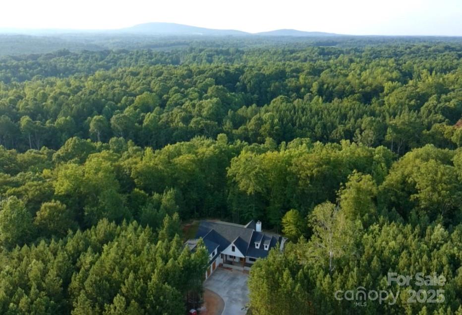 5853 Hidden Forest Drive