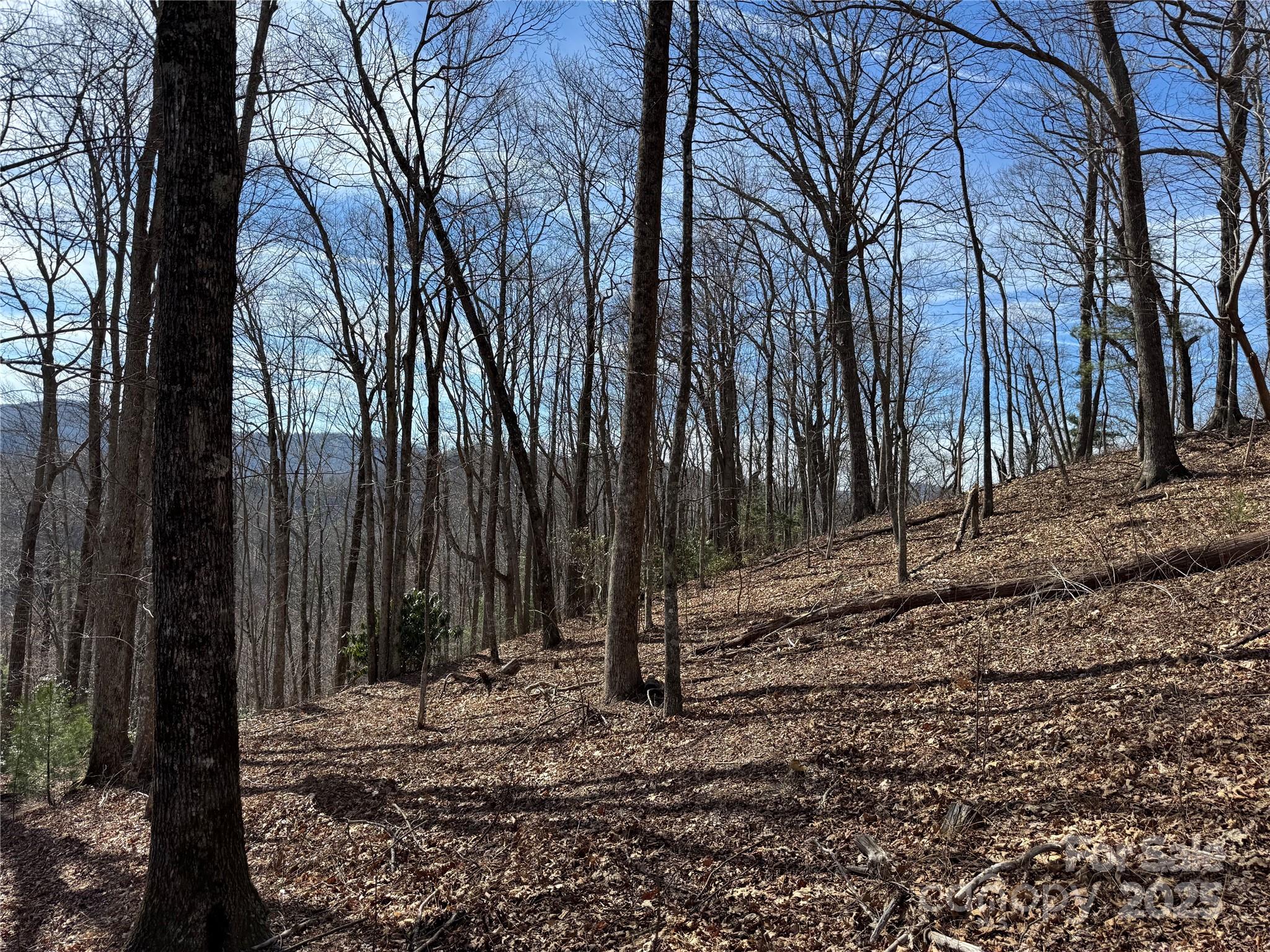 Overlook at Sapphire - Land