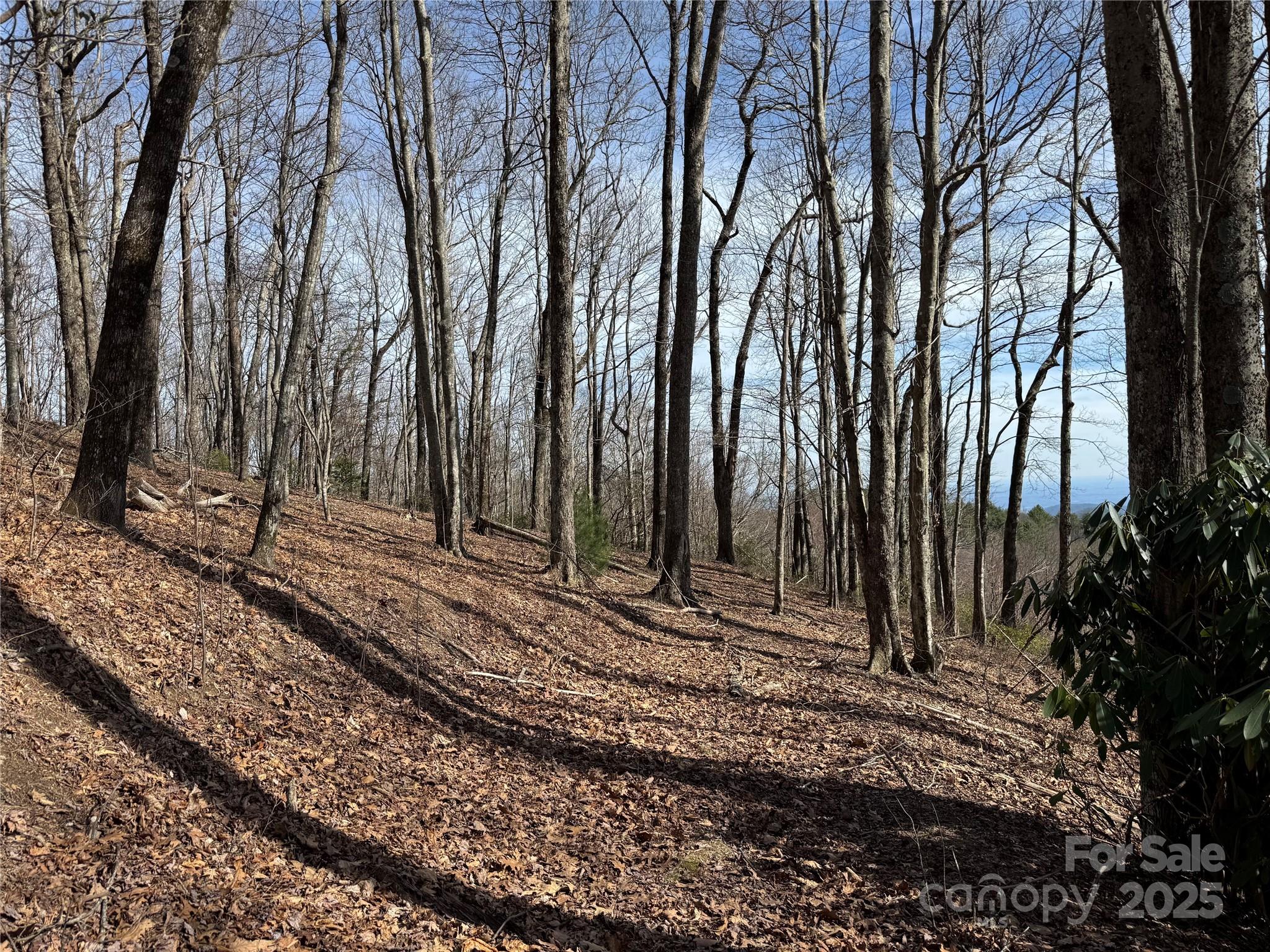 Overlook at Sapphire - Land