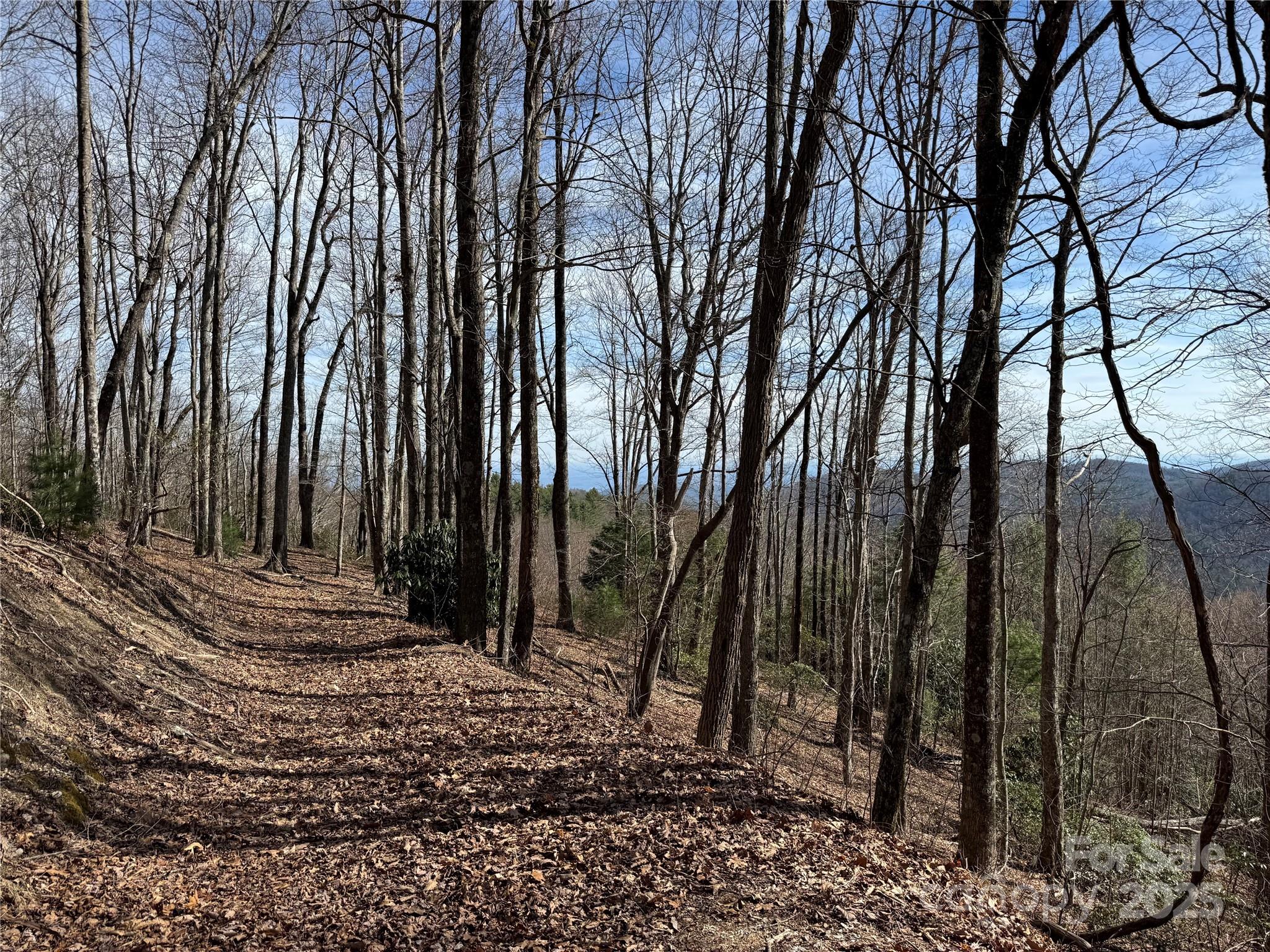 Overlook at Sapphire - Land