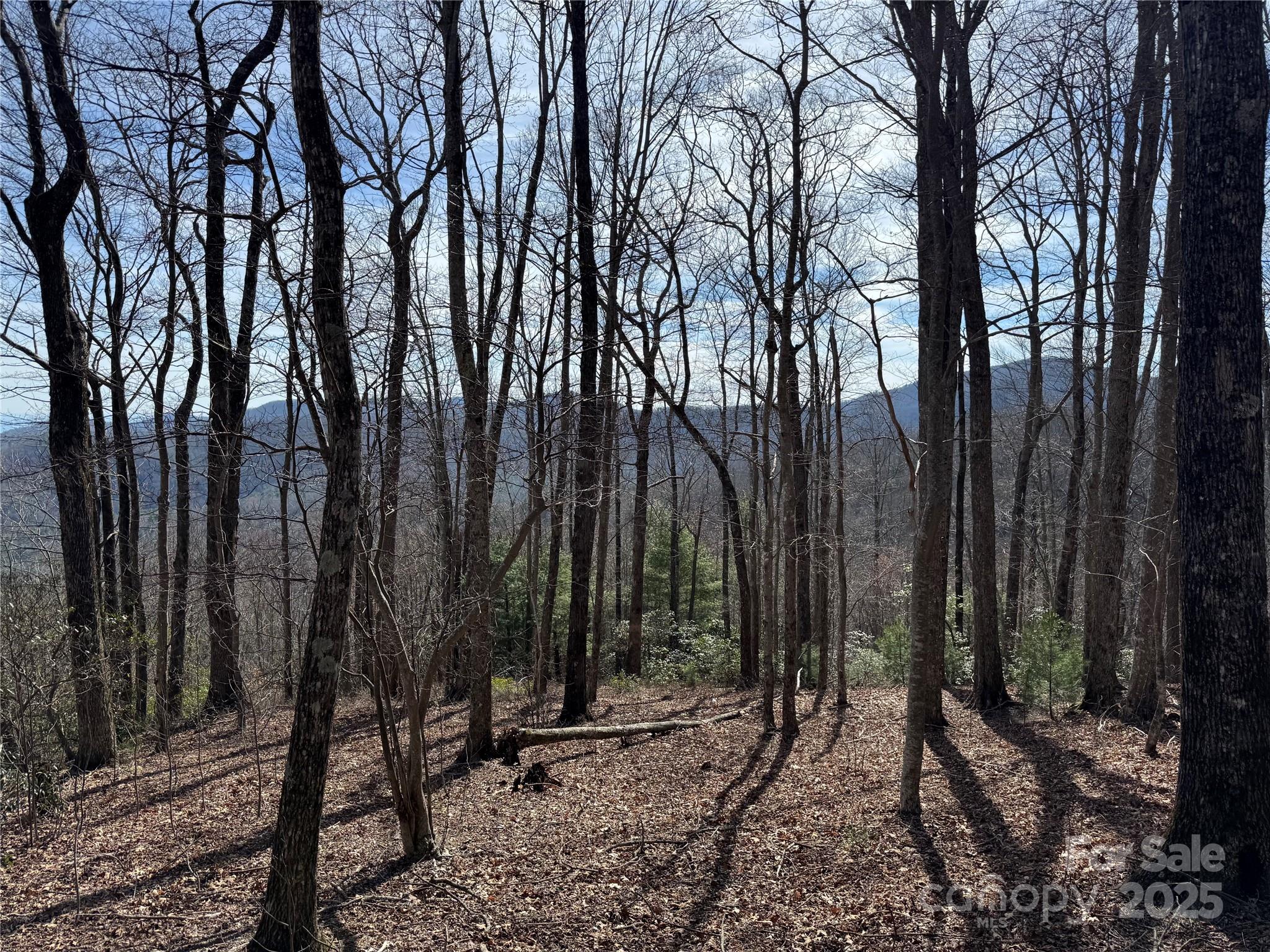 Overlook at Sapphire - Land
