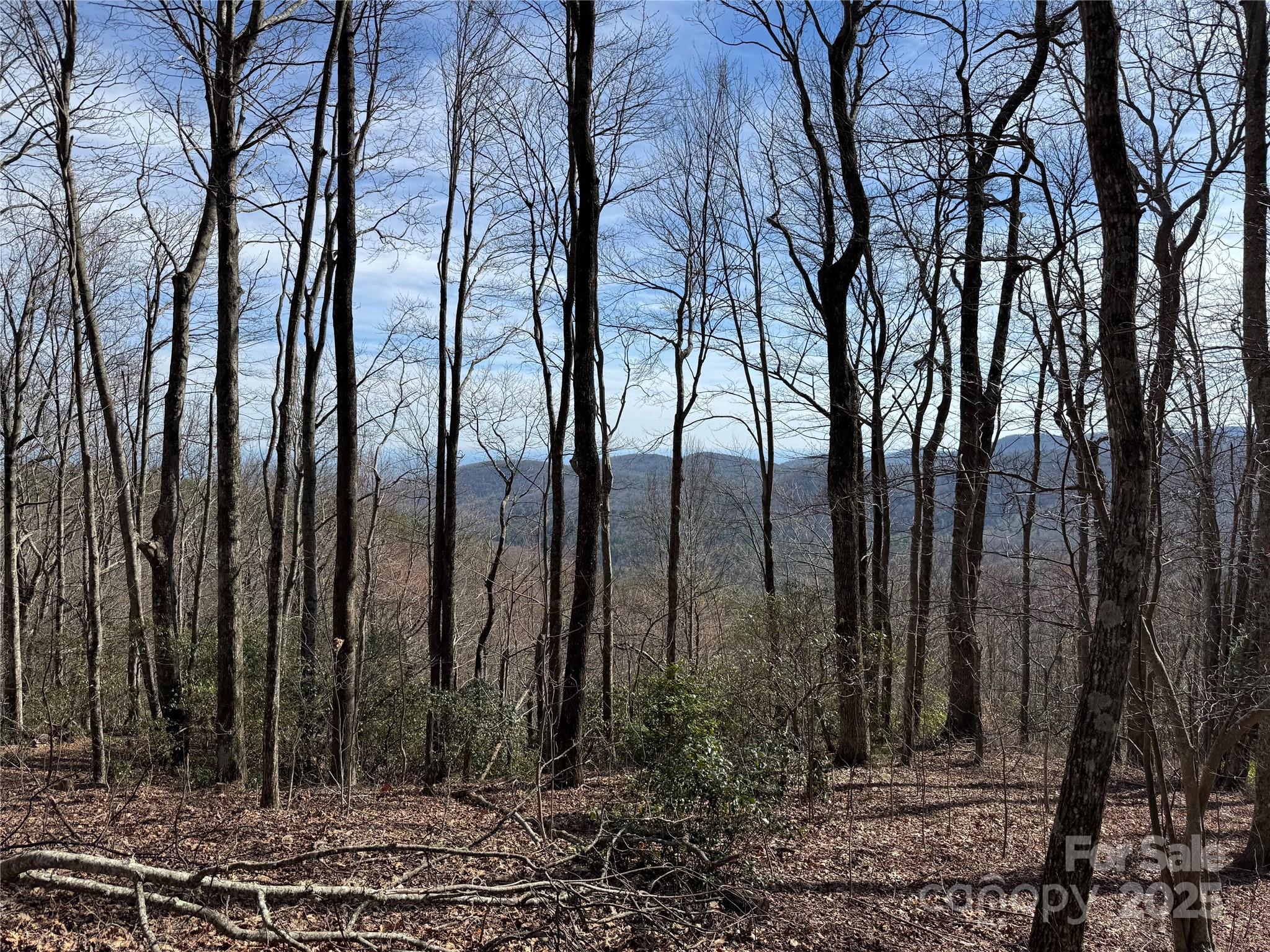 Overlook at Sapphire - Land