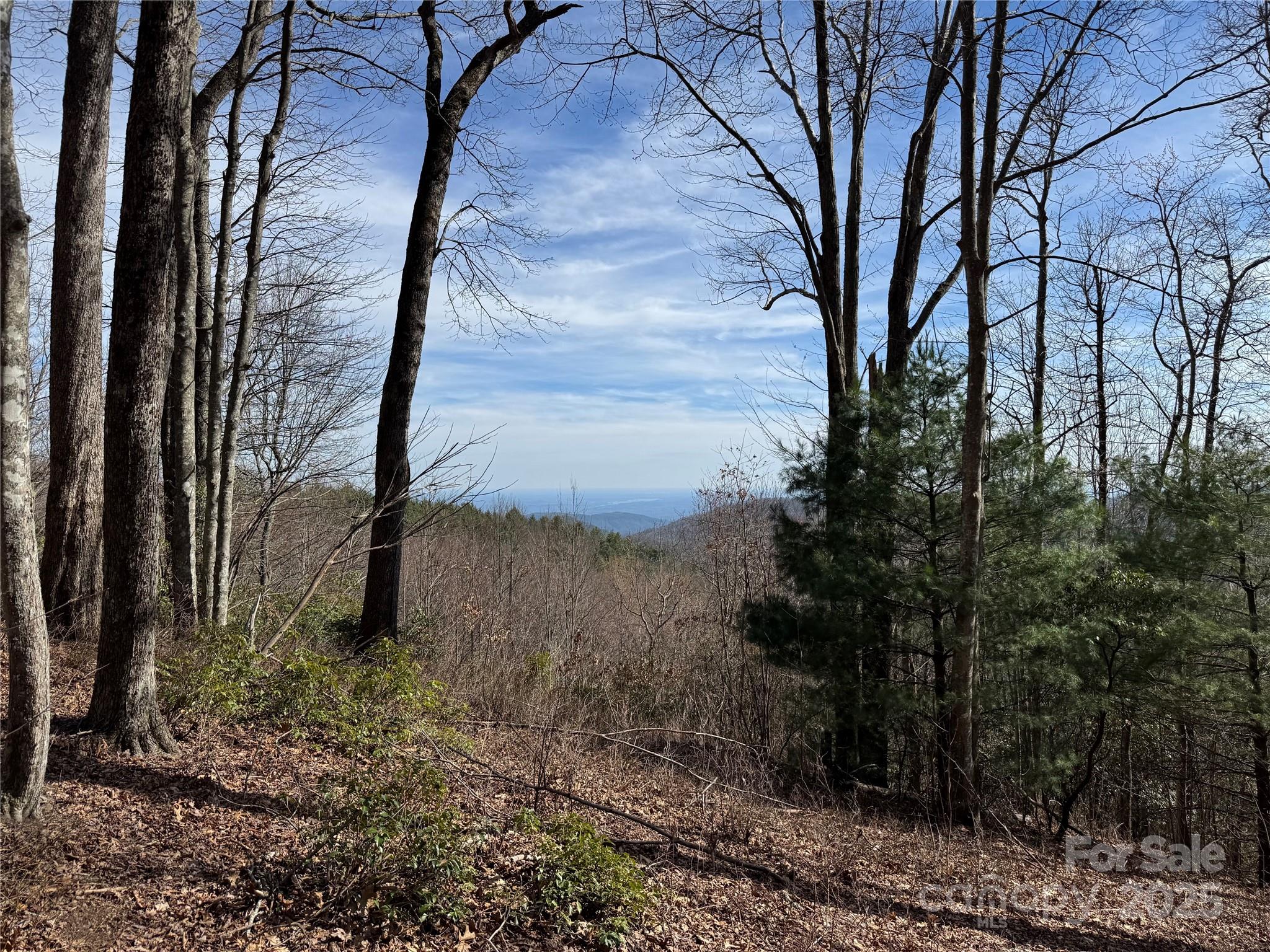 Overlook at Sapphire - Land