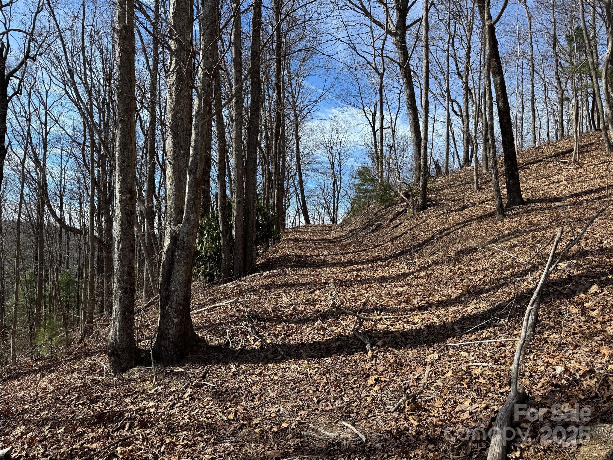 Overlook at Sapphire - Land