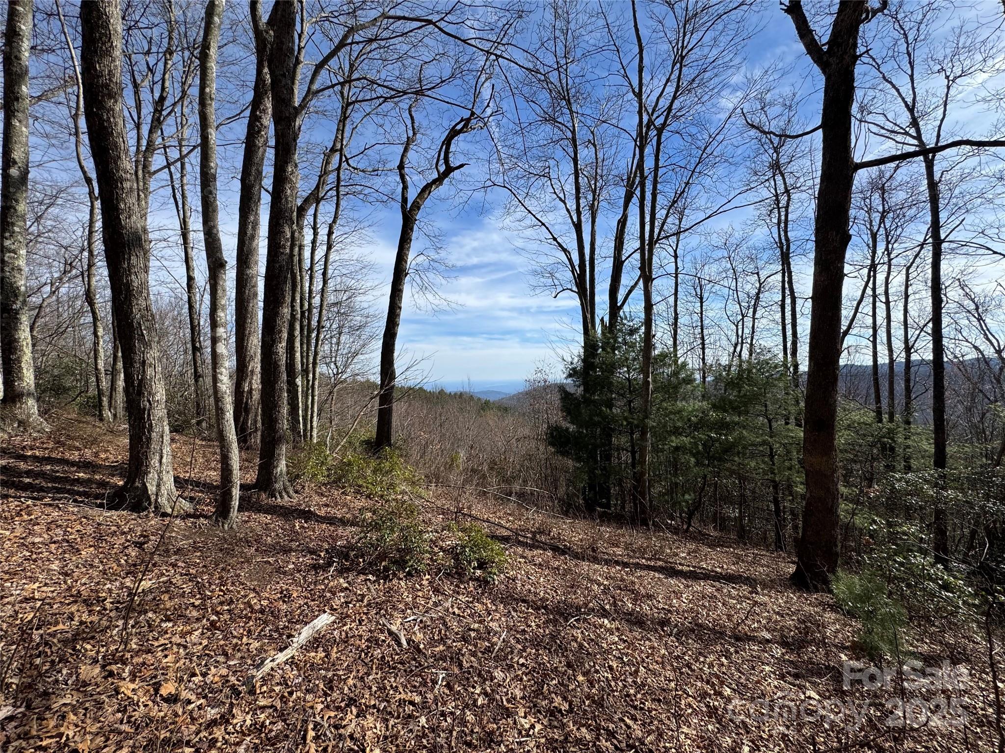 Overlook at Sapphire - Land
