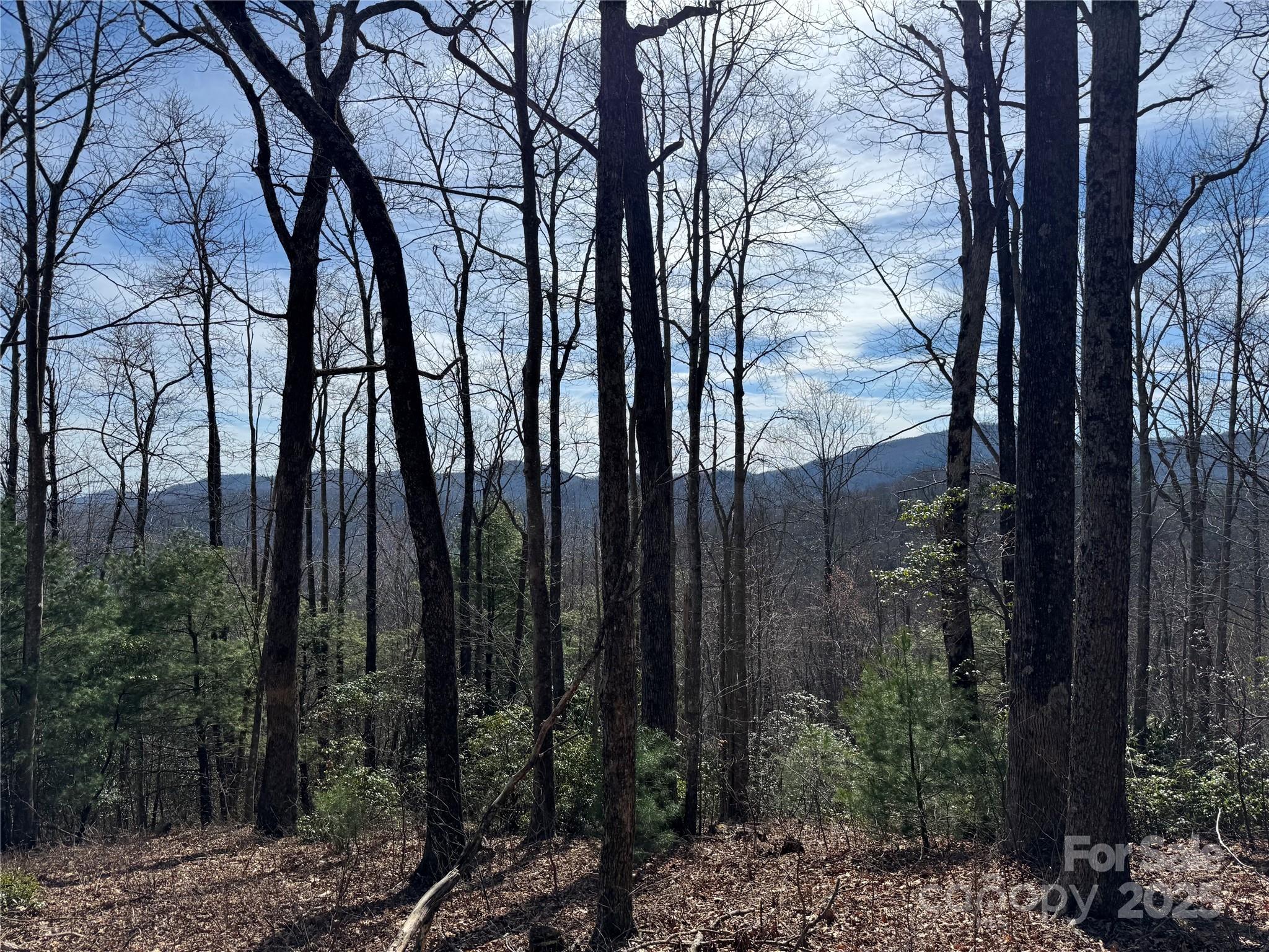 Overlook at Sapphire - Land