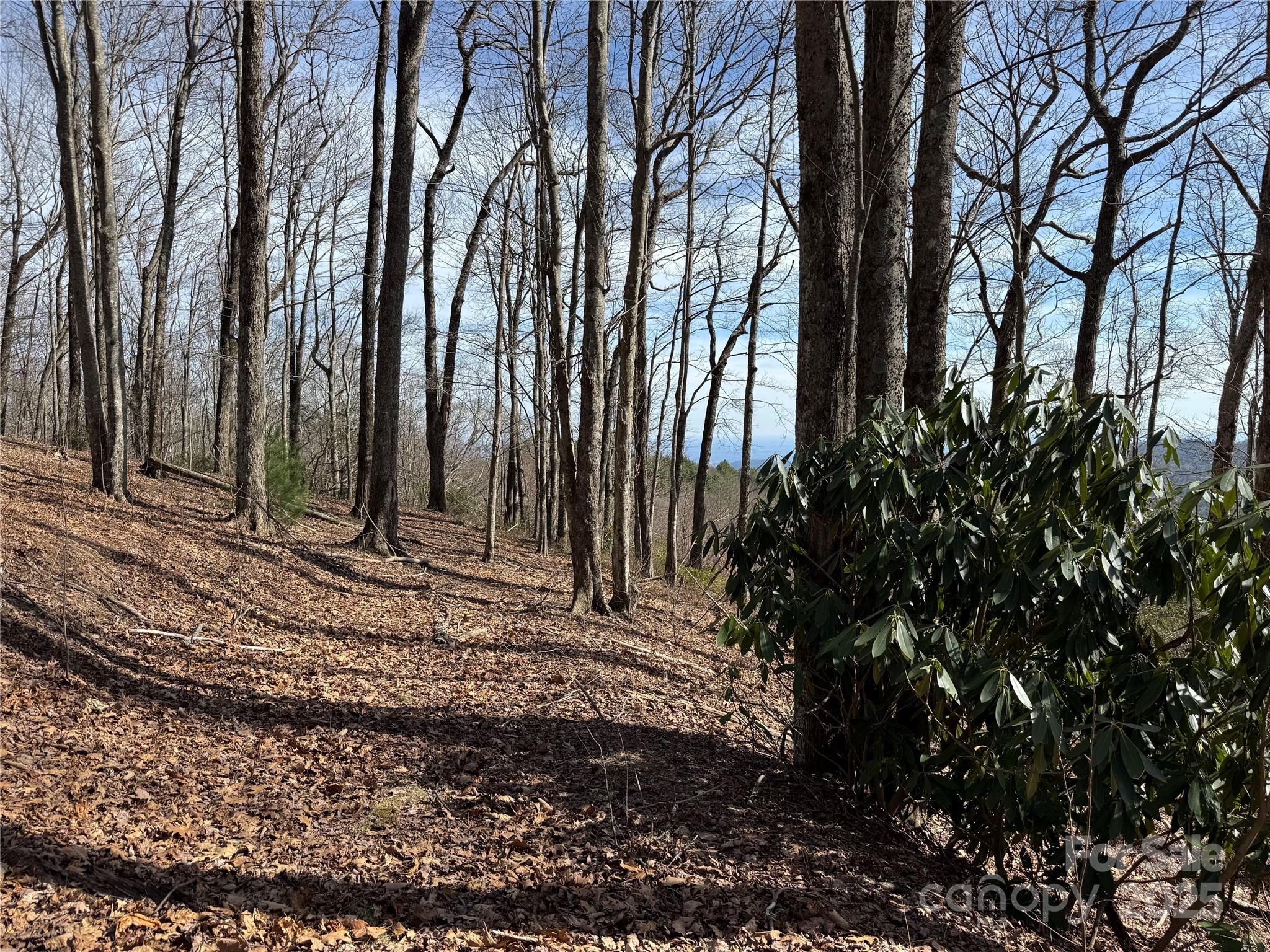 Overlook at Sapphire - Land