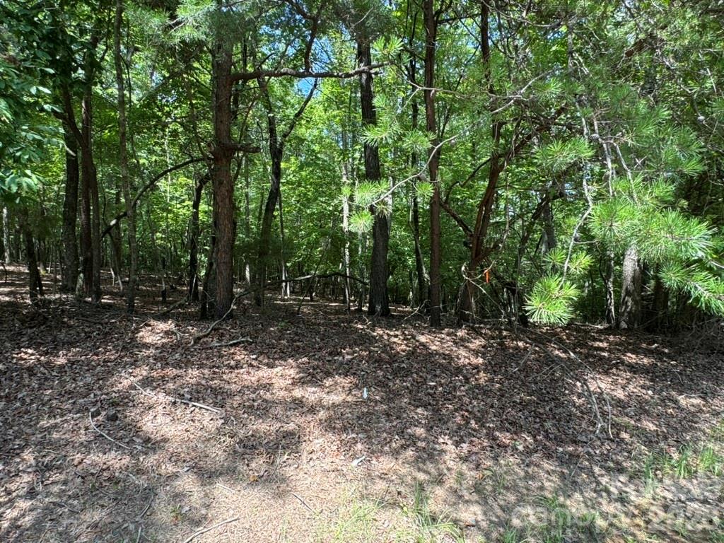 0 Cottonstone Lane