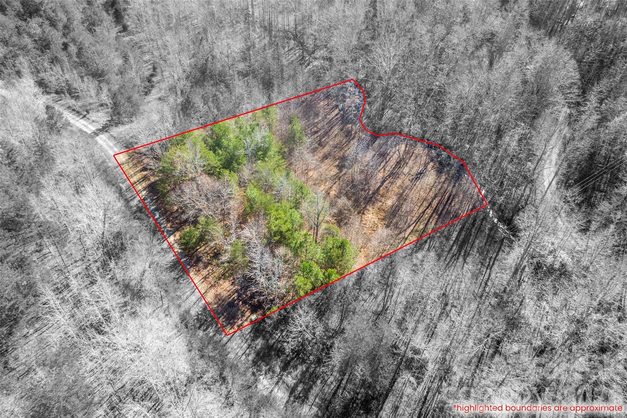 0 Riding Ring Drive 10