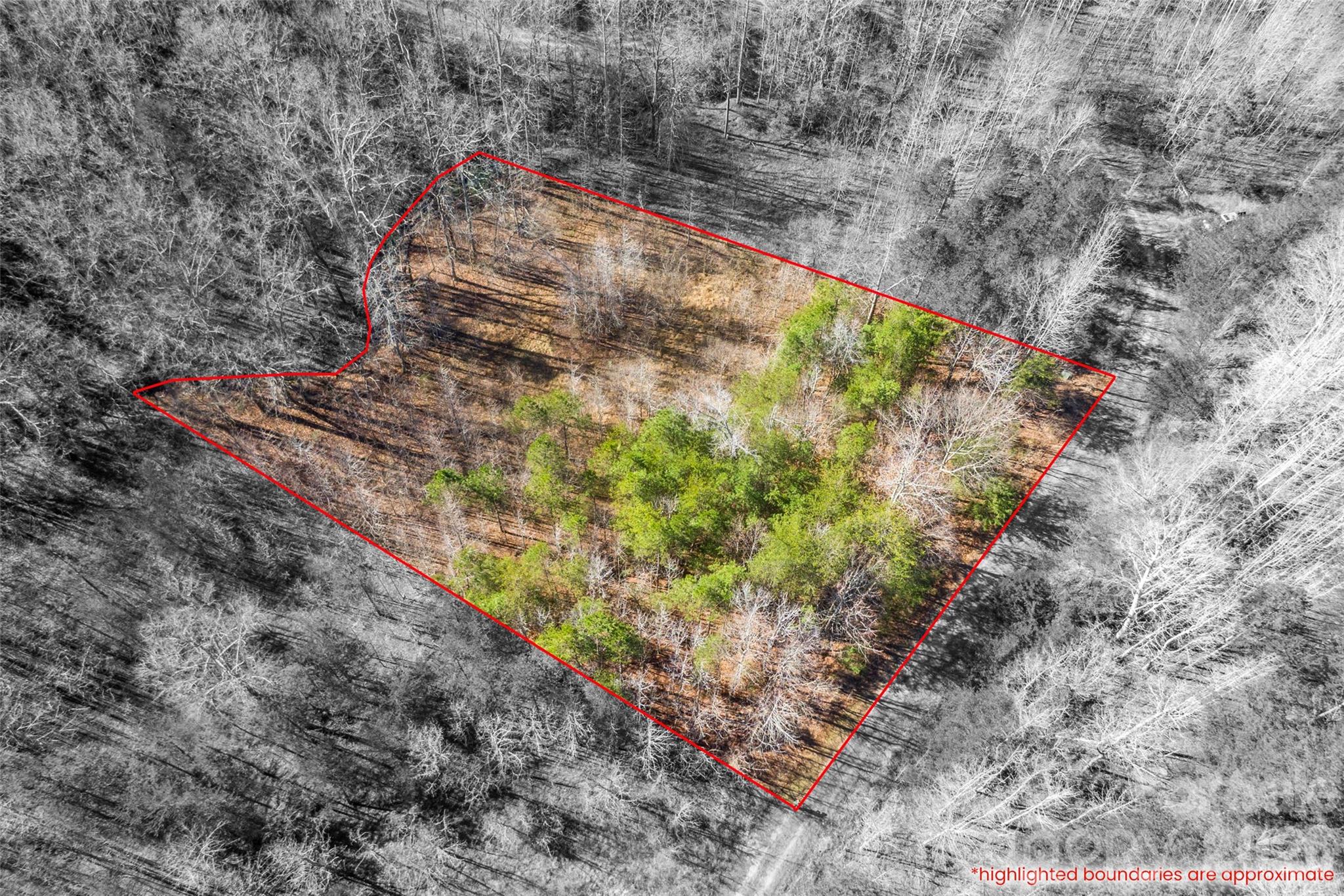 Cherry Mountain Trail - Land