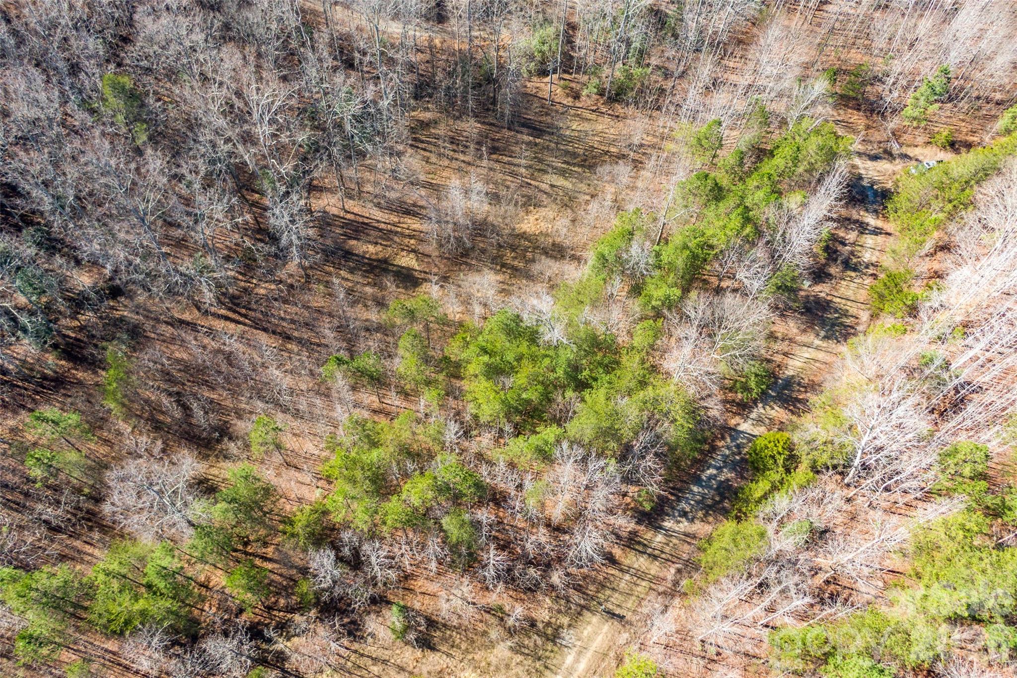 0 Riding Ring Drive 10