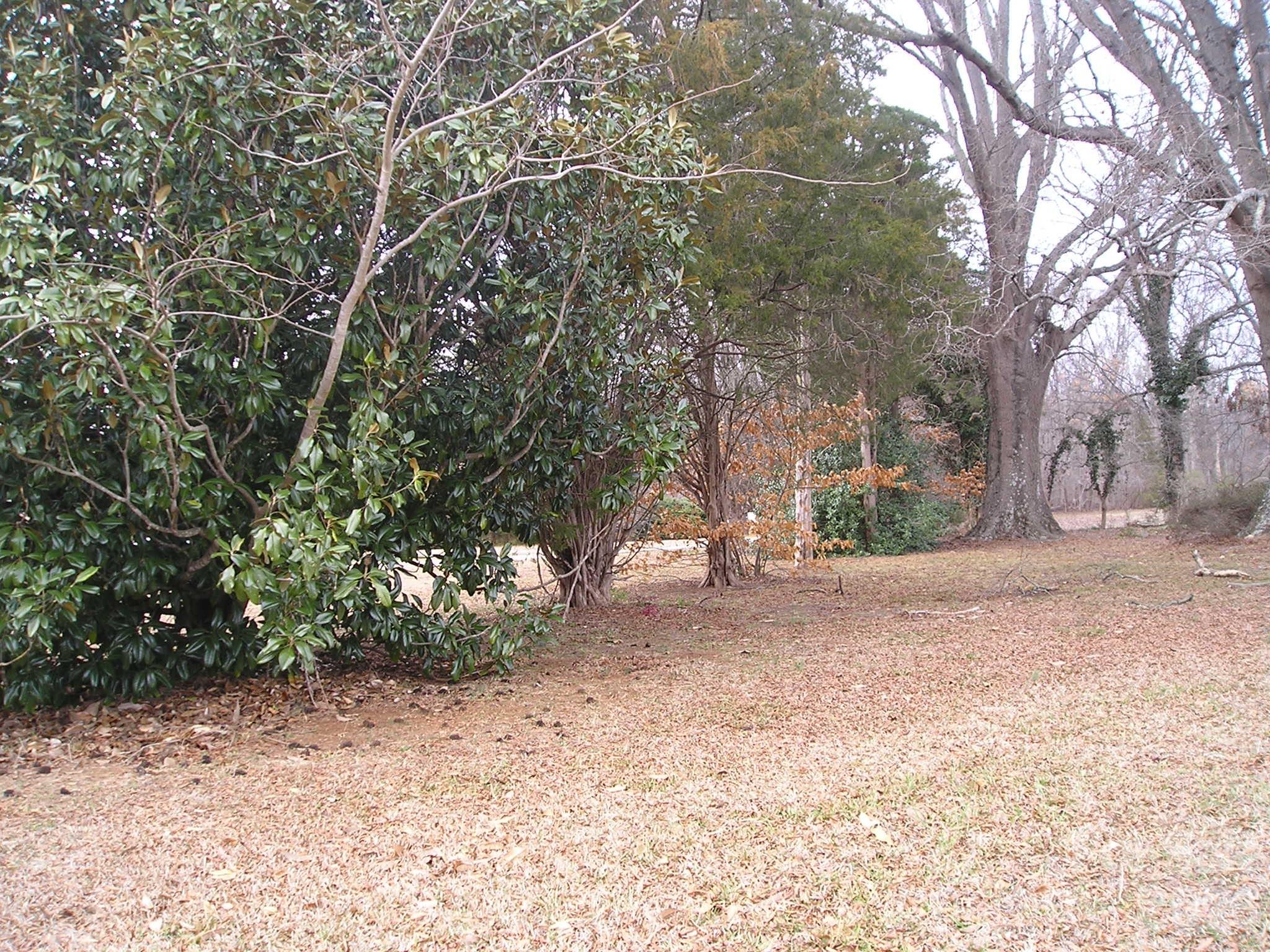 3704 Weddington Road