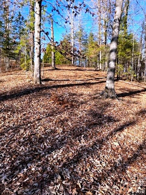 Lot 17-4 N Coast Drive