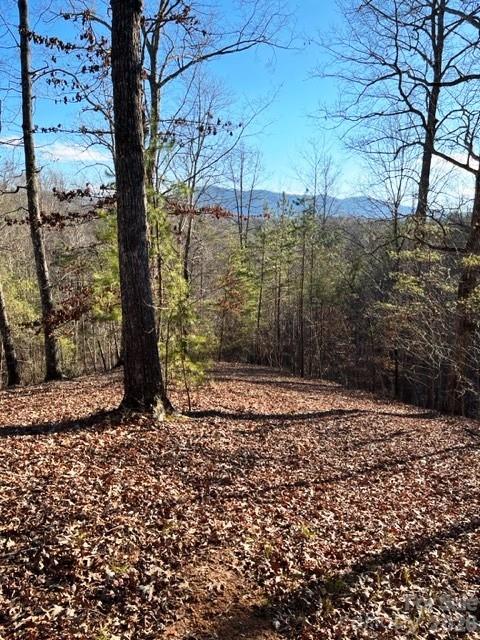 Lot 17-4 N Coast Drive
