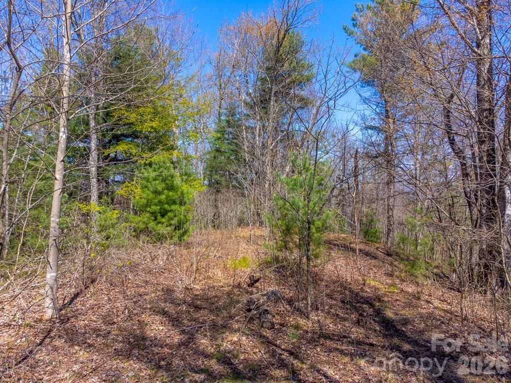 Fontana Trace - Land