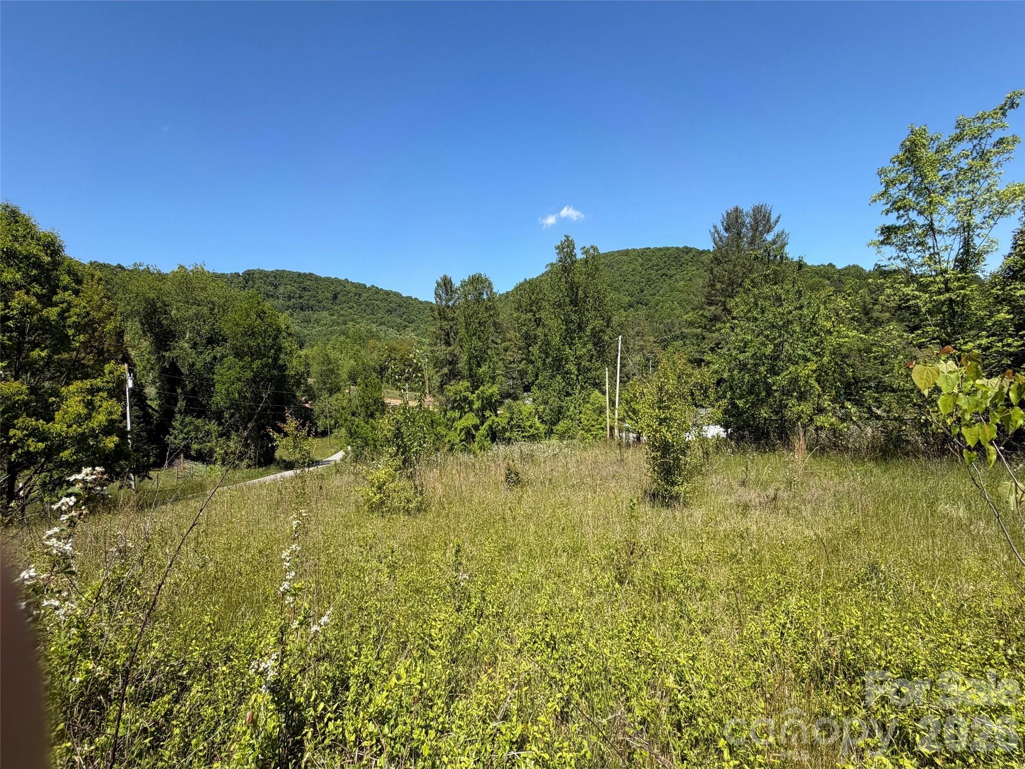99999 S Morgan Branch Road