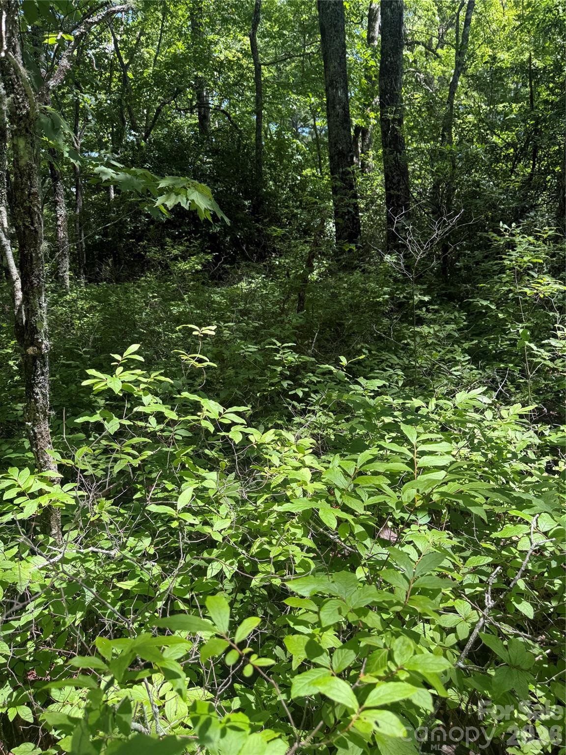 TBD Indian Lake Road 32