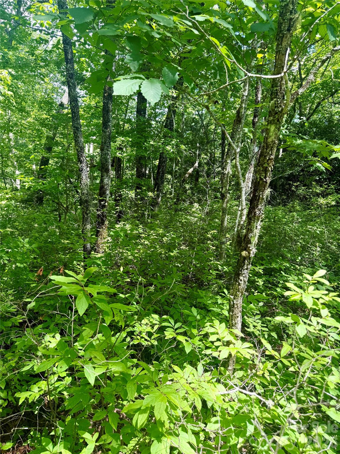 TBD Indian Lake Road 32