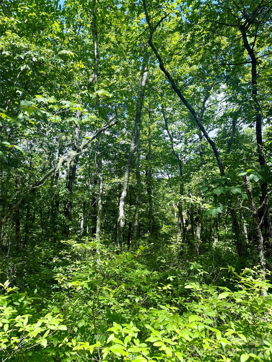 TBD Indian Lake Road 32