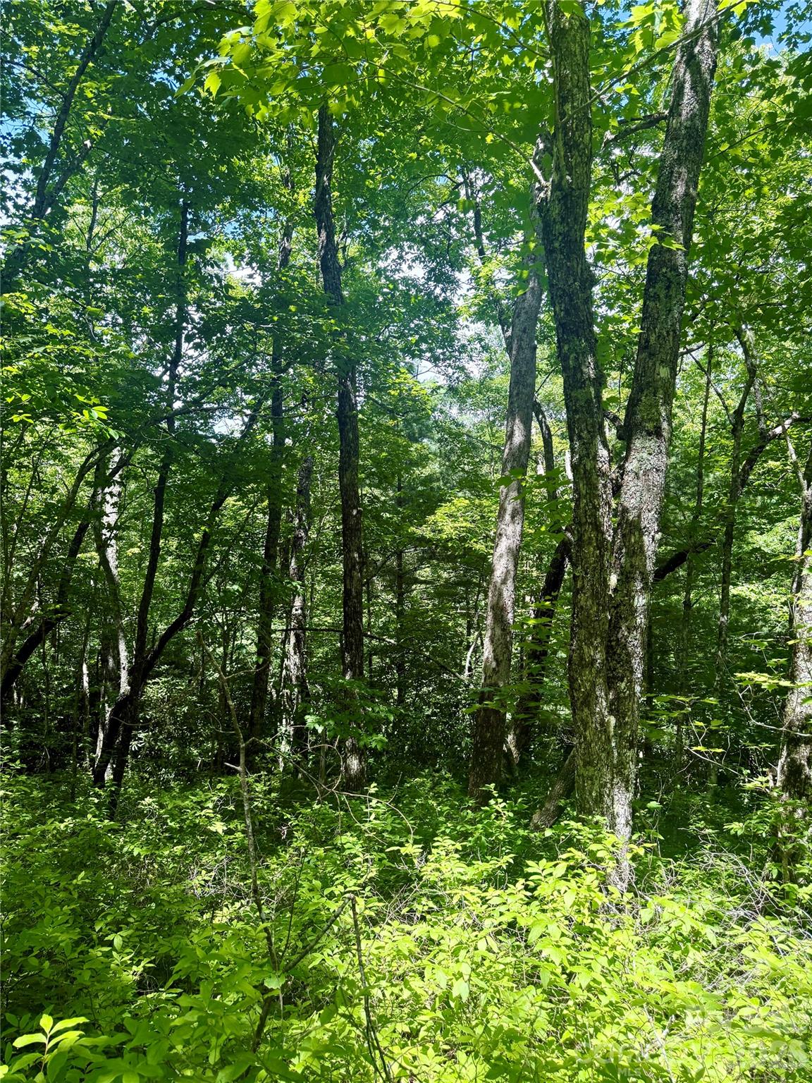 TBD Indian Lake Road 32