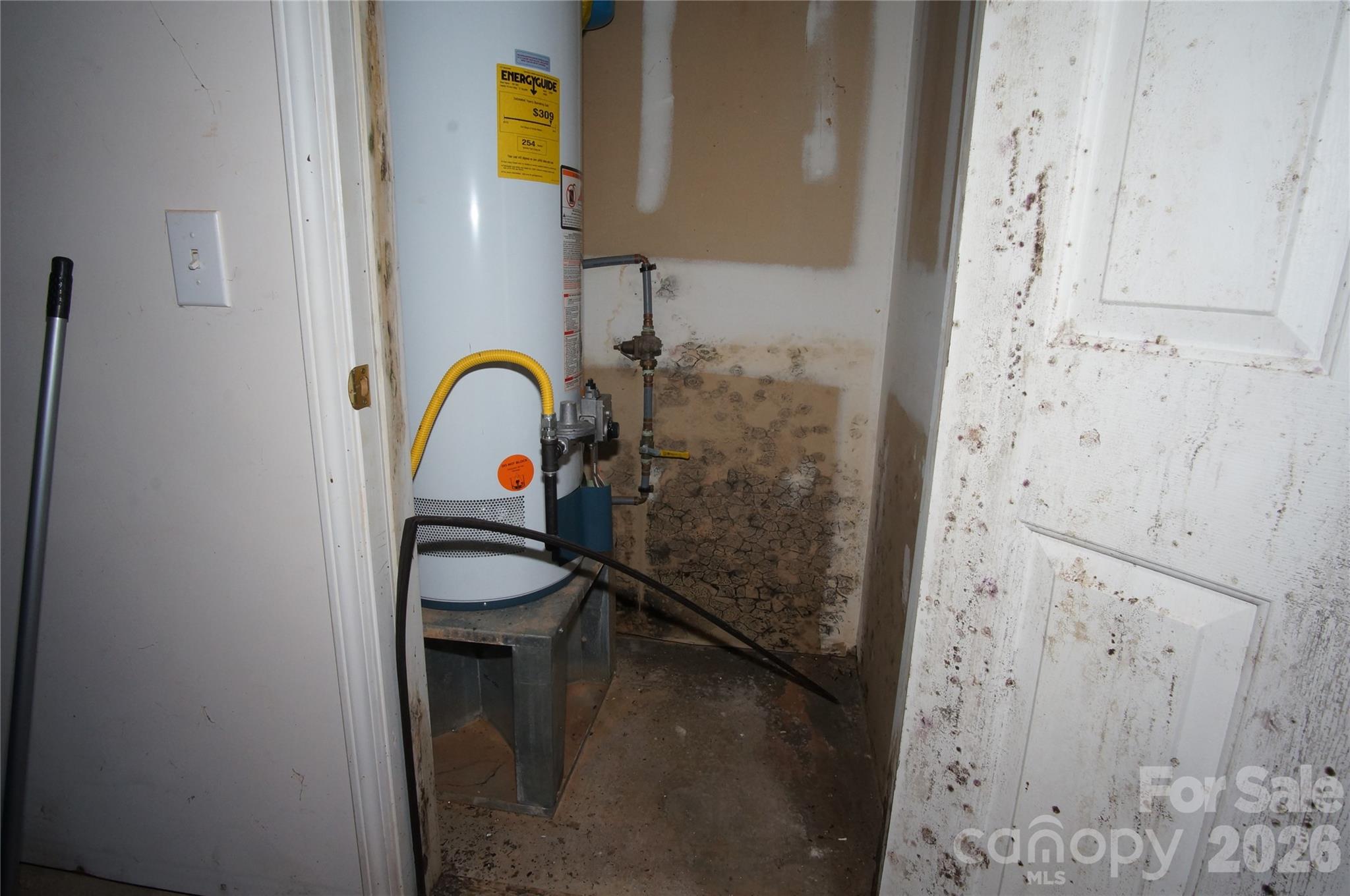 Back Creek Forest - Residential