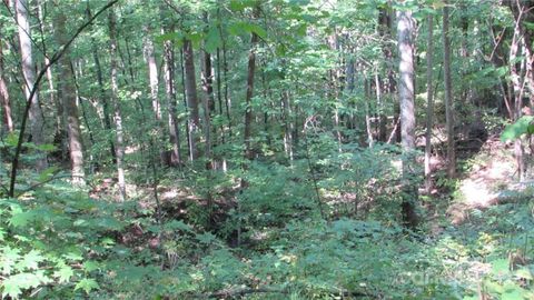 E- 17 Red Wolf Run None Mars Hill NC 28754
