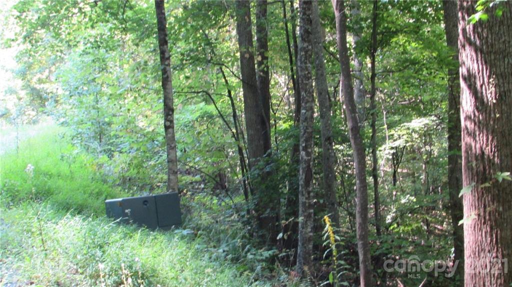 E- 17 Red Wolf Run None