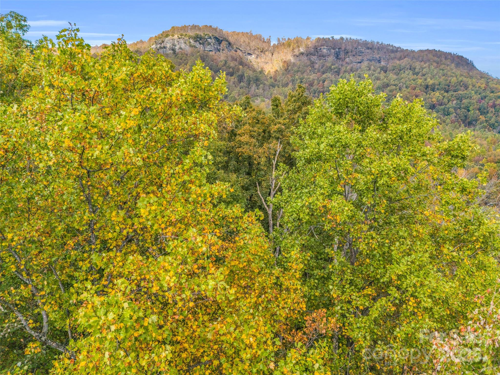 Brights Creek - Residential