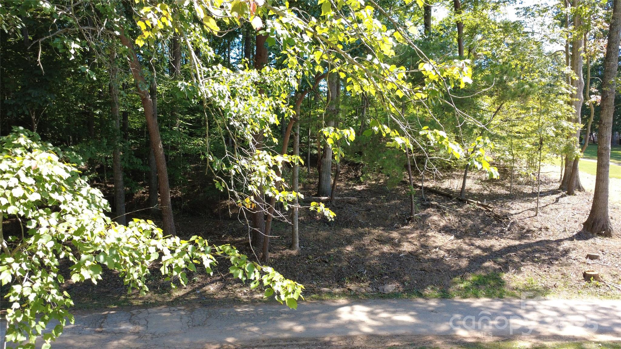 TBD Olde Duffer Drive 10