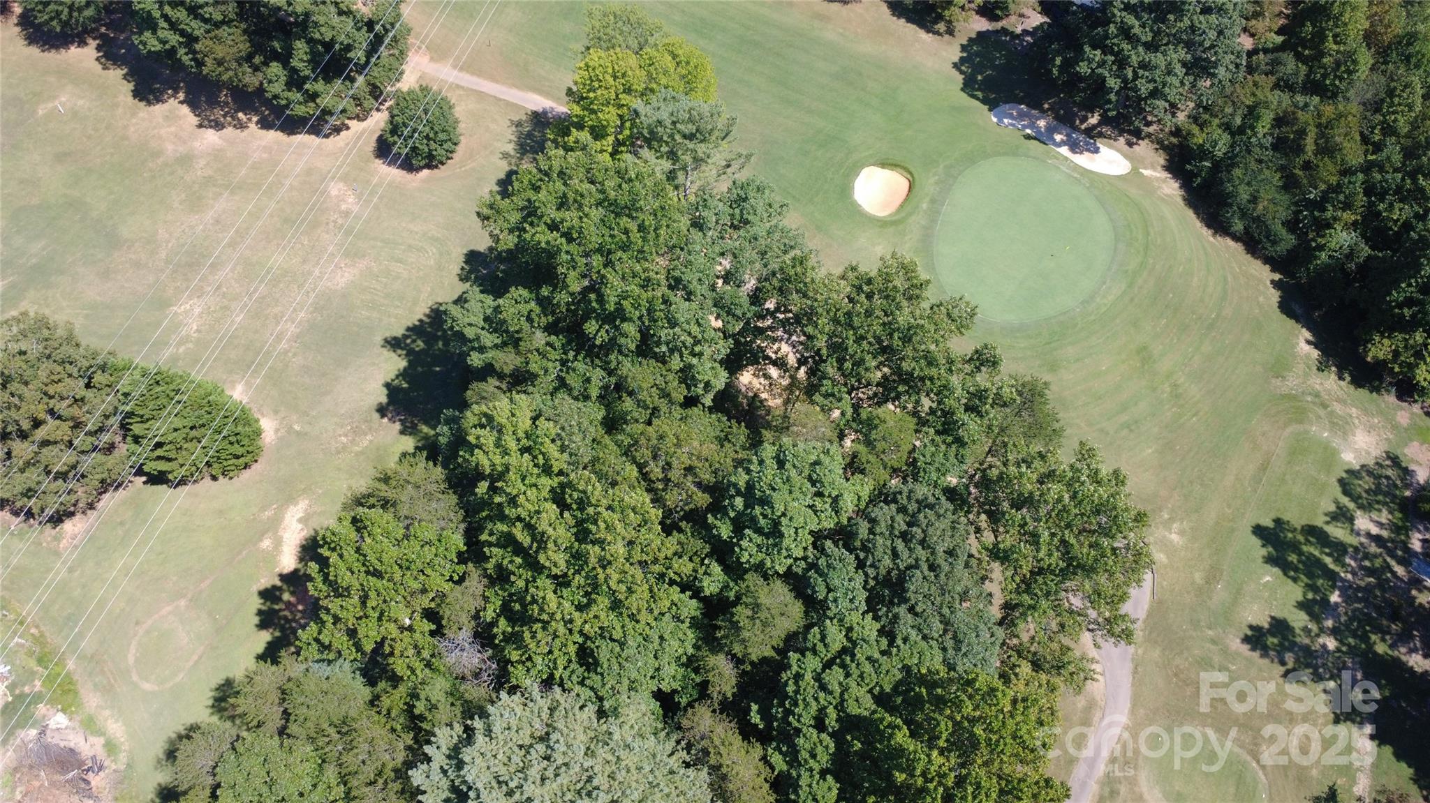 TBD Olde Duffer Drive 10